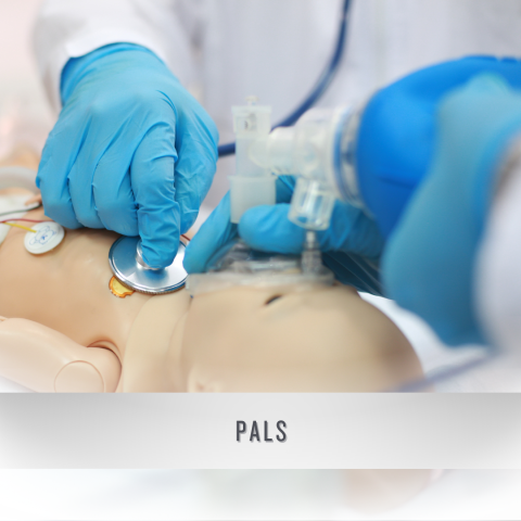PALS